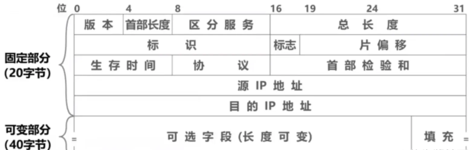 IP首部