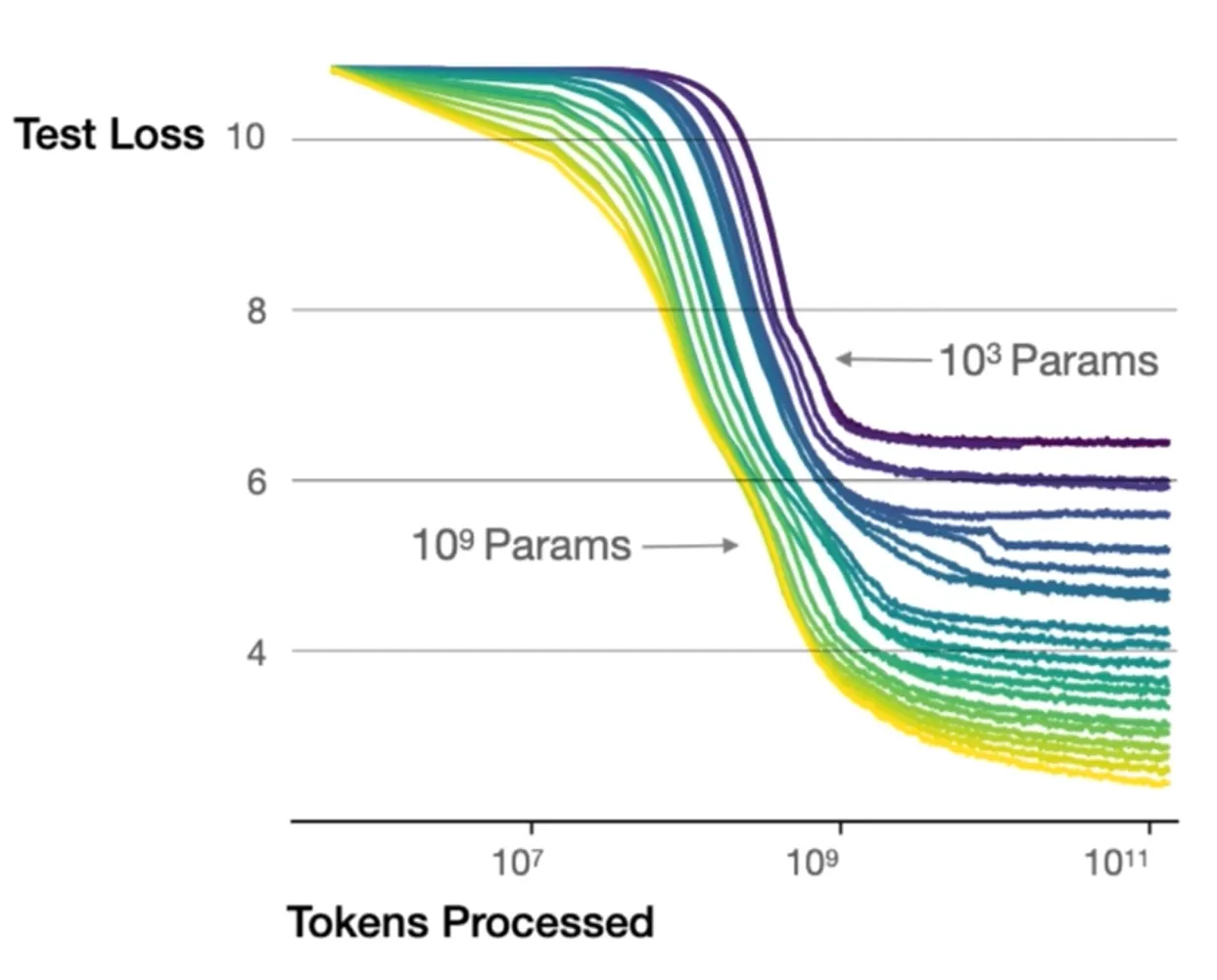 Loss-Tokens
